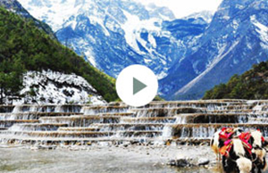 2017��JDB���ӿƼ��Ž�-����֮��